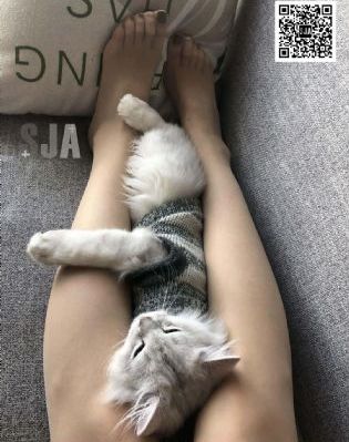 被采摘污染的茜未删减版_1080高清迅雷在线观看