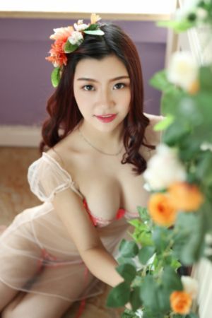 赛尔号第12季_高清在线播放观看